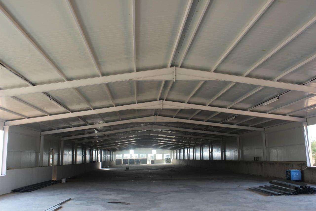 White Star fabrication gallery image